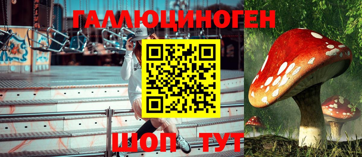 Галлюциногенные грибы Psilocybe Кропоткин