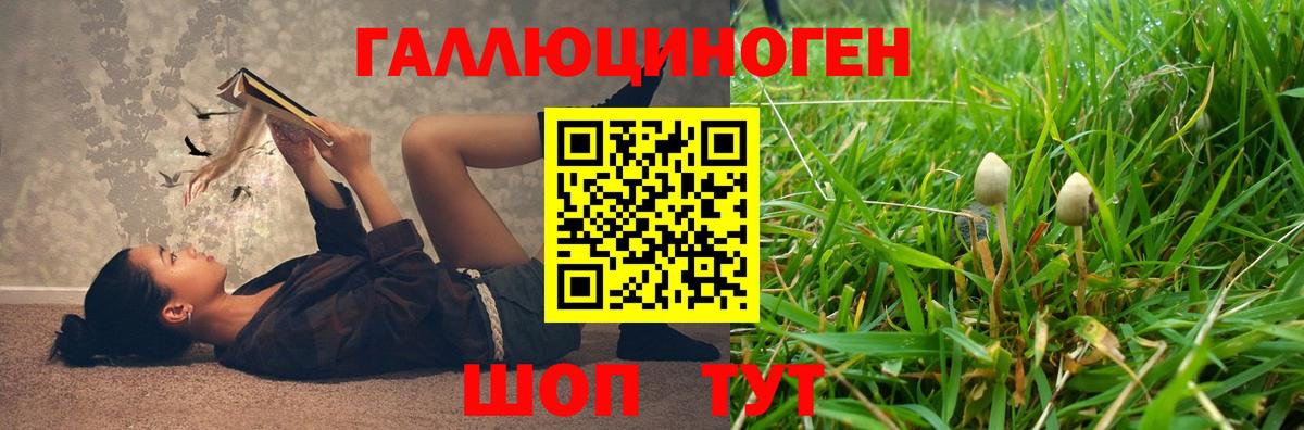 Псилоцибиновые грибы ЛСД  Вход с VPN  Псилоцибиновые грибы Magic Shrooms  Кропоткин 